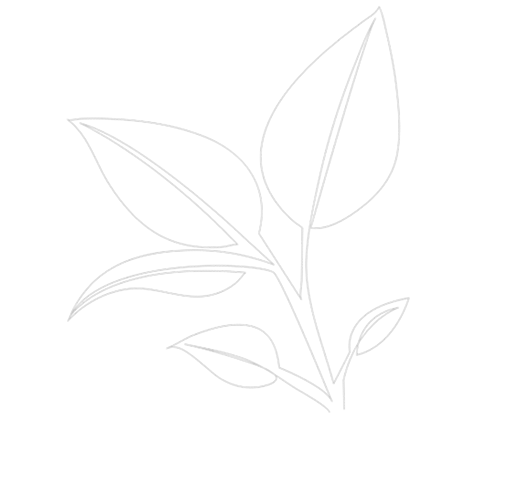 Inner Hero Element Two